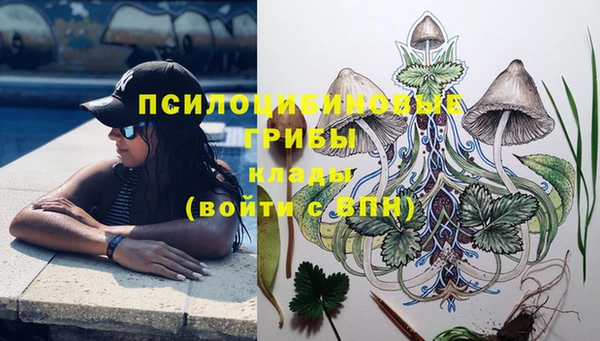 СК Коряжма