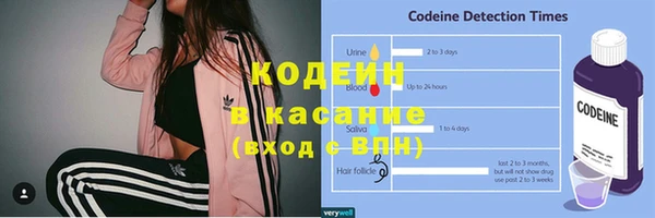 спиды Корсаков