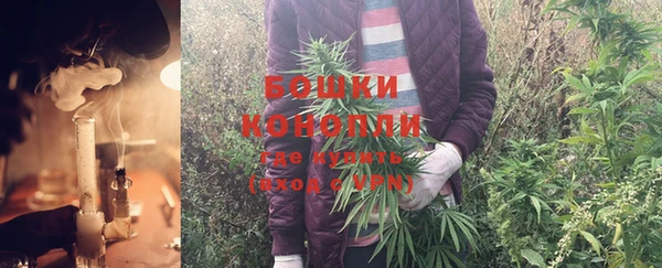 СК Коряжма