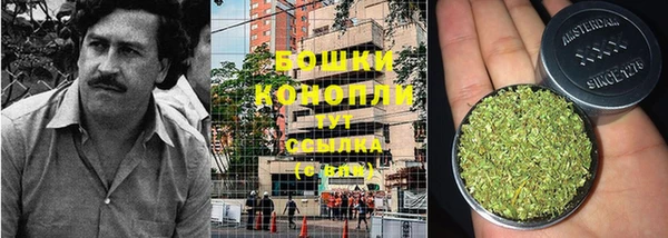 спиды Корсаков