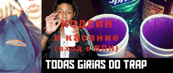 СК Коряжма